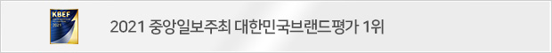 올해의 손해보험상 수상